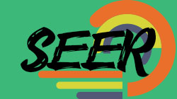 Understanding SEER