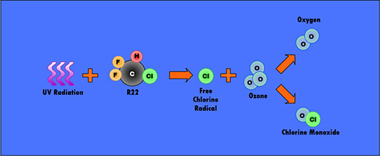 How R22 breaks down Ozone R22 and Ozone Interaction